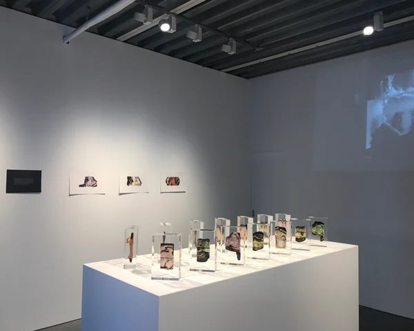 Prism sculptures and a film projection in a gallery installation.